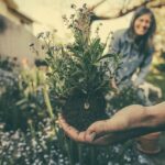 Cómo abrir una empresa de jardinería 1