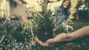 Cómo abrir una empresa de jardinería 1