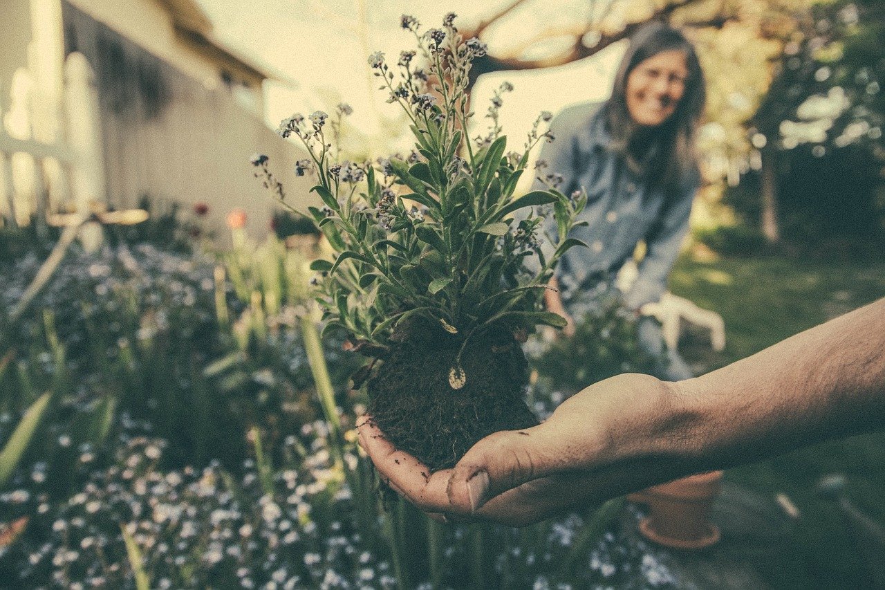 Cómo abrir una empresa de jardinería