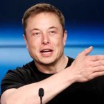 Elon Musk aumento valor de Hamster