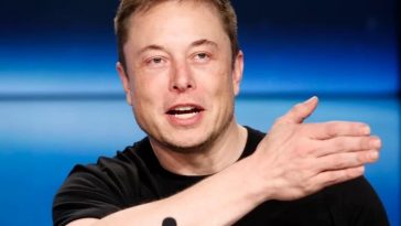 Elon Musk aumento valor de Hamster