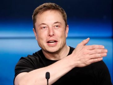 Elon Musk aumento valor de Hamster