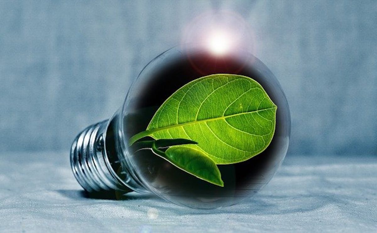 8 cosas que deben suceder esta década para lograr cero emisiones netas para 2050