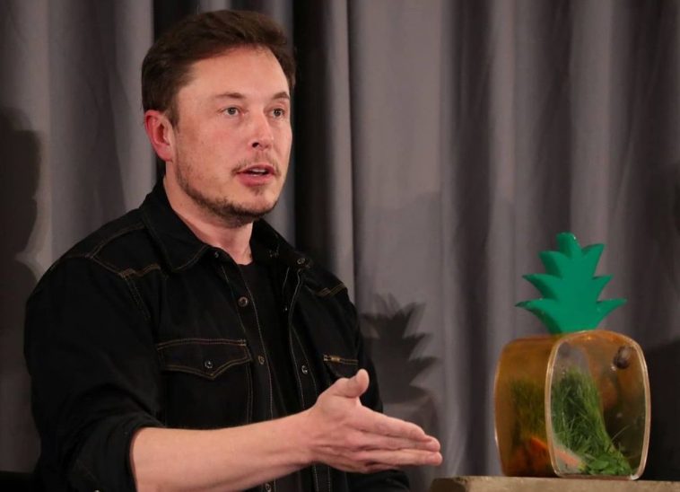 Los activos de Elon Musk superan los 5.000 millones de dolares despues de que las entregas trimestrales de vehiculos Tesla superaran las expectativas