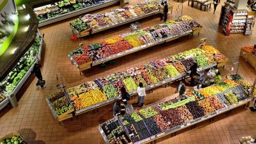 Reif inteligencia artificial desperdicia alimentos
