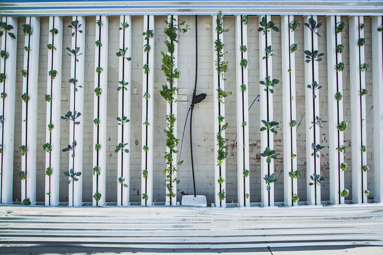 Agricultura vertical: ¿una solución sostenible para el futuro?