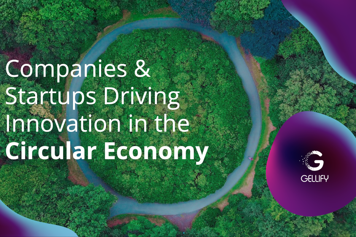 GELLIFY, el informe sobre la economía circular