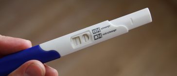 bea fertility