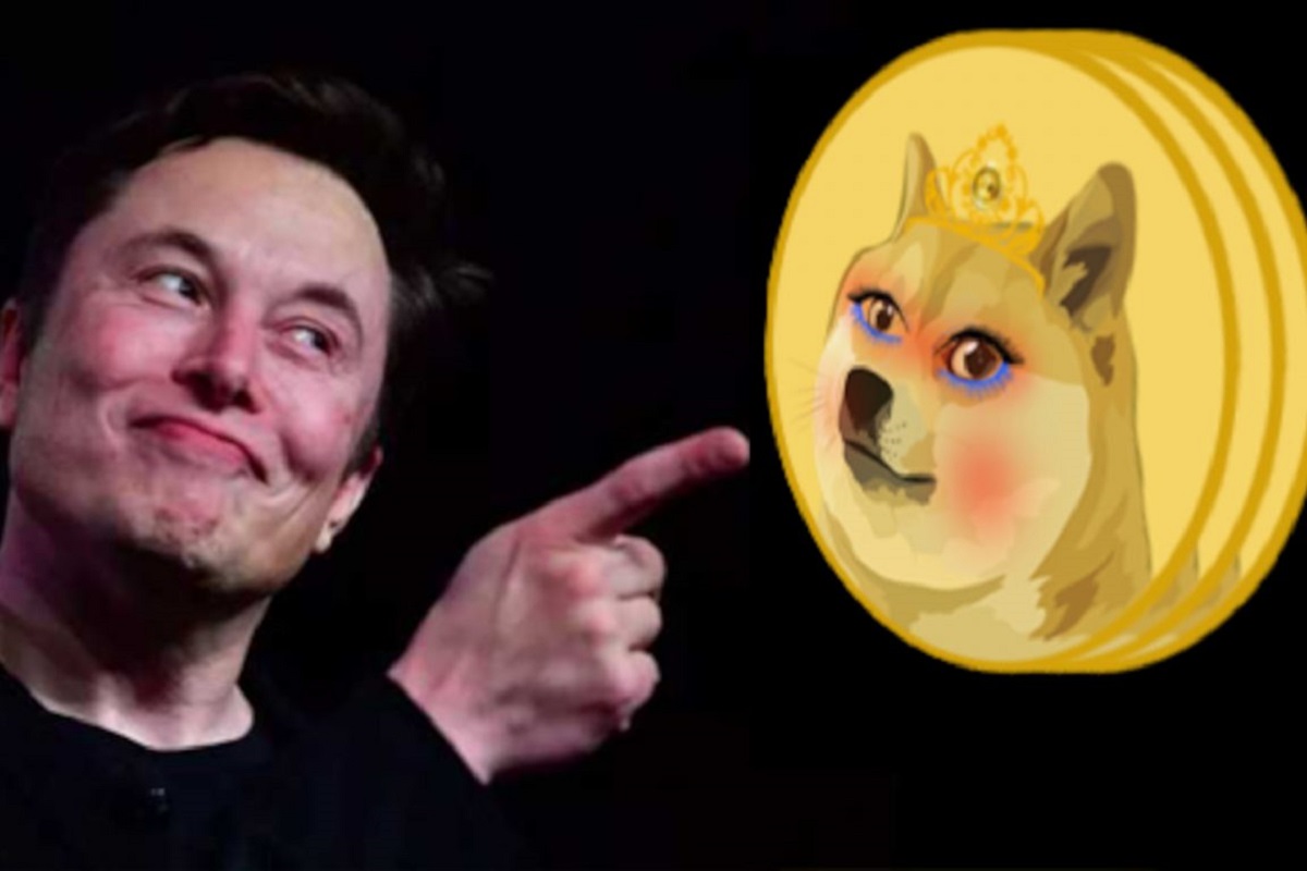 Wifedoge, el ‘like’ de Elon Musk para la criptomoneda ‘esposa’ de Dogecoin