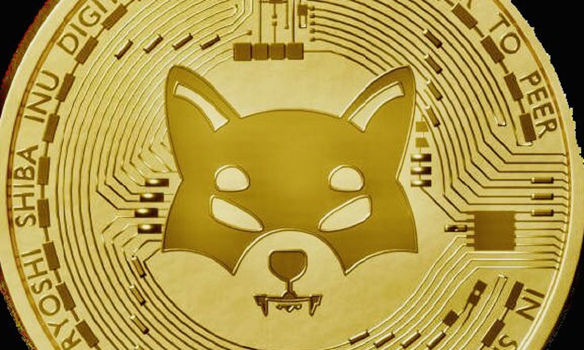 La moneda Shiba Inu se dispara más de un 800%, superando finalmente al token rival Dogecoin