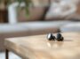 Auriculares inalámbricos Raycon Everyday in uso