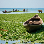 como el biogas esta cambiando la pesca en el lago tana etiopia 1751055749
