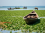 como el biogas esta cambiando la pesca en el lago tana etiopia 1751055749