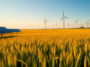 como la energia renovable sostiene la economia agricola en estados unidos python 1753731566