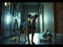 good boy el perro que enfrenta los miedos en un hogar embrujado python 1755541853