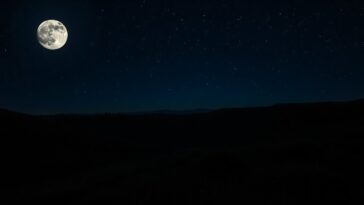 descubre la luna gibosa creciente y sus maravillas python 1759208826