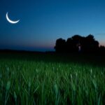 descubre las fases de la luna y su brillo creciente python 1758528198