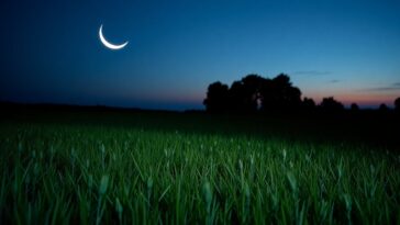 descubre las fases de la luna y su brillo creciente python 1758528198
