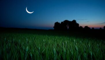 descubre las fases de la luna y su brillo creciente python 1758528198