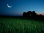 descubre las fases de la luna y su brillo creciente python 1758528198