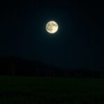 que esperar de la fase de luna cuarto creciente esta noche guia y curiosidades python 1759120771