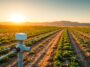 como la inteligencia artificial esta revolucionando el uso del agua en la agricultura python 1759598550