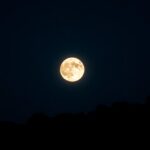 descubre las fascinantes fases de la luna del 1 de octubre python 1759296731