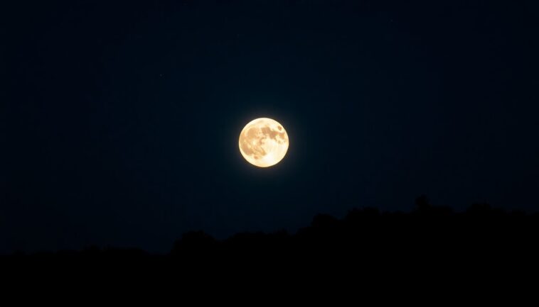 descubre las fascinantes fases de la luna del 1 de octubre python 1759296731