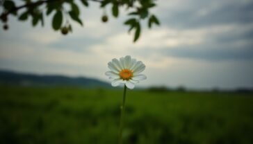 recomendaciones de zdnet lo que deben saber los compradores inteligentes 1759845620