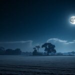 explorando la luna nueva su impacto y significado en nuestra vida 1763624158