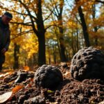 scopri il tartufo sapori storie e tecniche culinarie 1762086812