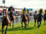 como disfrutar al maximo de las carreras de caballos en el boxing day 1766733764