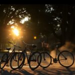 descubre la fecha de estreno del gran final de stranger things en netflix 1767195523