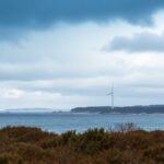 reaccion de nueva inglaterra a la suspension de proyectos de energia eolica implicaciones y futuro 1767073313