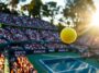 como ver en vivo las semifinales djokovic vs sinner del abierto de australia 2026 guia completa y enlaces de transmision 1769766964