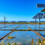 innovaciones en acuicultura solar y energia renovable en taiwan transformando el futuro sostenible 1770334185