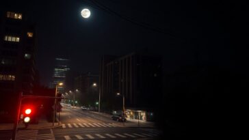 paises imponen apagones de internet para aumentar la censura y controlar la informacion 1770289431