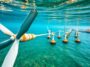 energia marina el potencial global de las turbinas submarinas 1775014060